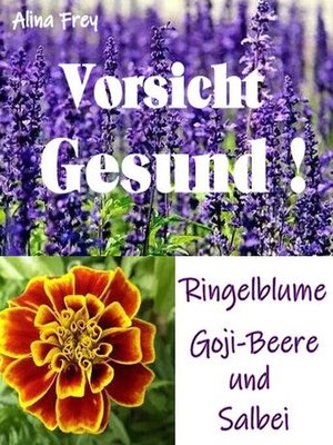 cover image of Vorsicht Gesund!!